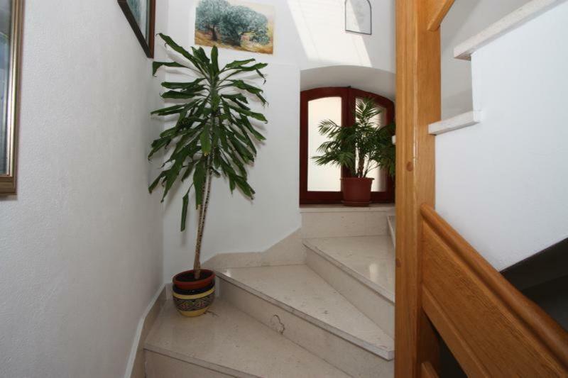 Marjan Apartment & Rooms Split Kültér fotó
